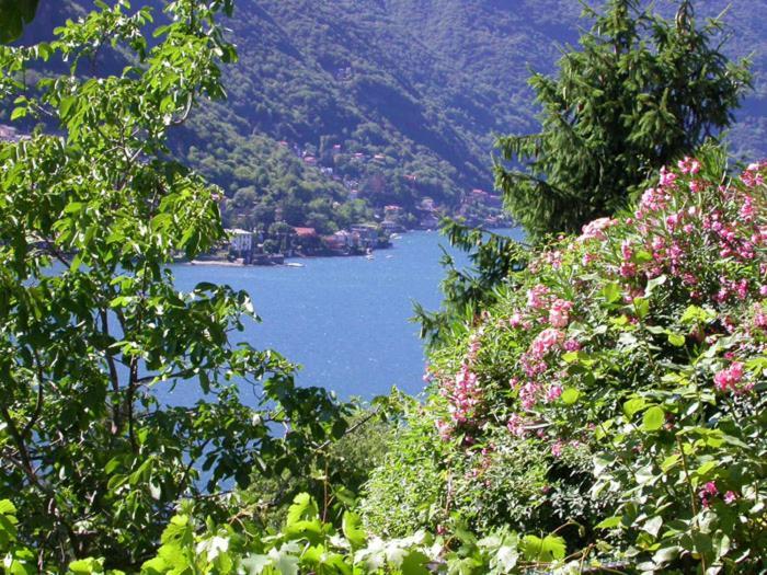 Апартаменти Sonia - Musica & Aperol Panorama-Fewo Pognana Lario Екстер'єр фото